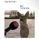 행복의 빈도가 높아진 9월