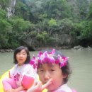 그레이 썬셋 이미지