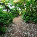 아카시아병원 이미지