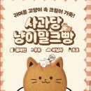 혜원사 | [포항] 귀여움 폭발! 사과당 '냥이빵' 단체 주문 후기 (어린이집/교회/학교 간식 추천)