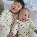 킹덤키즈-I | 49개월,5개월 아들둘과 롯데월드 다녀온 후기 아이랑 갈만한곳 (놀이기구 위주 2일차)