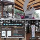 노은동 은구비공원 도심 속 힐링 벚꽃도 이뻐요!