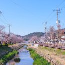 반쟁이공원 이미지