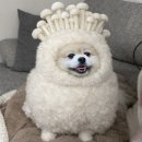 도담프린팅 | [블랭커 팩토리] 아크릴 그립톡 제작, 아크릴톡 제작, 후기