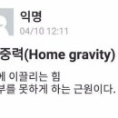이레돈까스 이미지