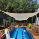 라파미 D 이미지