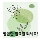 원호우리약국 이미지