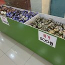(주)펫스테이션 이미지