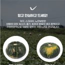 제주 빙새기 이미지