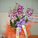 월드컵태권도 이미지