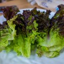 만나식당 이미지