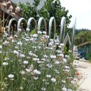 덕동농장 이미지