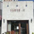 클로버. (clover)37 네이버블로그