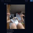 라코 이미지