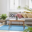 식물 인테리어 이미지