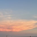 일조집,회춘 해운대점 | 해운대 미포 조개구이맛집 일조집 본점 재방문후기