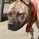 영주축협동물병원 이미지