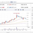 와이지메디컬 이미지