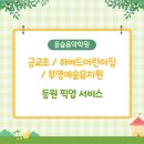 윤슬음악학원 네이버블로그