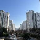 백현육교 밑 네이버블로그