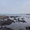제주도 3박4일 서쪽 여행 3,4일차