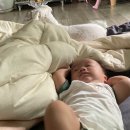 풍납마을마당공원 네이버블로그