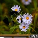 낭만연구소 이미지