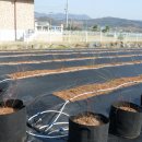 관수농장 이미지