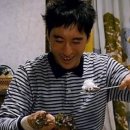 골목돼지 이미지