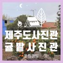 귤밭사진관 | 제주도 귤밭사진관 | 특별한 추억을 남기는 감성 스냅 촬영 후기