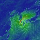 태풍위치 실시간으로 볼수있는 사이트! 이미지