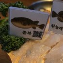 살아있네회집 | 특수어종회를 맛볼 수 있는 룸식당 용산횟집 살아있네 후기