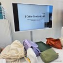 [광교: I Color Content lab] 내 퍼스널 컬러 도대체 뭔데 그래서?