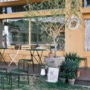 오렌지 칠(orange chill) 이미지