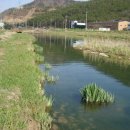 상사촌 | <김해지역명유래> 상동면편