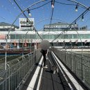 아리수 | 한강 아리수만찬 애견동반 후기｜선유도 양화선착장 뷰 + 닭볶음탕 맛집