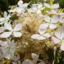 위례도서관 1층 이미지