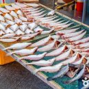 삼천포공공 네이버블로그