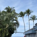 국제농장(진우네염소농장) | 빅아일랜드 코나 바다뷰! 현지인 브런치 맛집 아일랜드 라바자바(Island Lava Java)