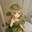 페페로미아 이미지