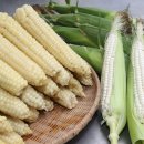 농협살미 이미지