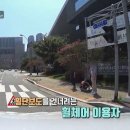 2살 아기 사망사고로 새삼 깨달은 운전자들이 드럽게 안지키는 것.gif 이미지