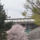 후에이트디스케이크 | HBD 구름, 반려동물 생일케이크는 연남동, 후에이트디스케이크