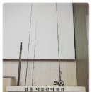 와일드피싱 이미지