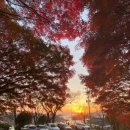 자산공원(해오름전시실) 이미지