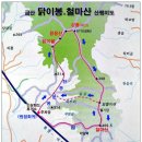 닭이봉 이미지