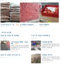 애정농장 이미지