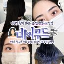 데이무드 이미지