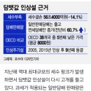 9년만에 4500원→8000원?…역대급 세수 펑크에 담뱃값 인상설 '활활' 이미지