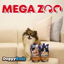 도그도기 이미지